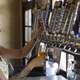 Illustration for article titled Anheuser-Buschs new initiative: Improving diversity in beer stock photosem/em